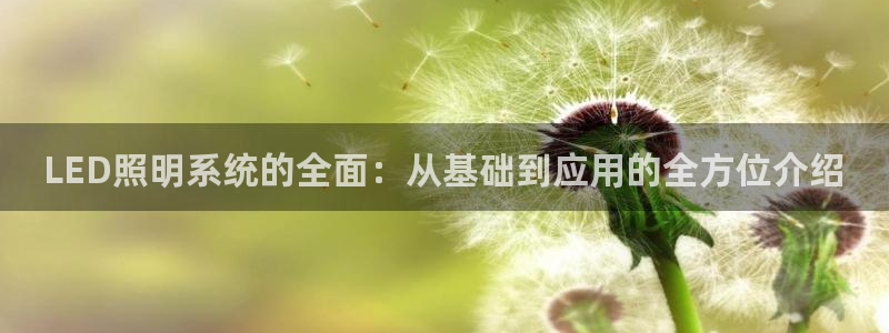 LED照明系统的全面:从基础到应用的全方