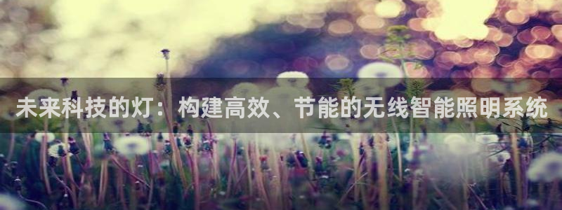 未来科技的灯:构建高效、节能的无线智能照