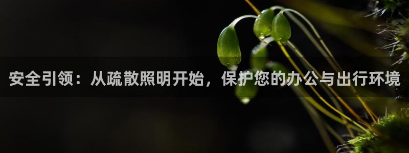 安全引领:从疏散照明开始,保护您的办公与