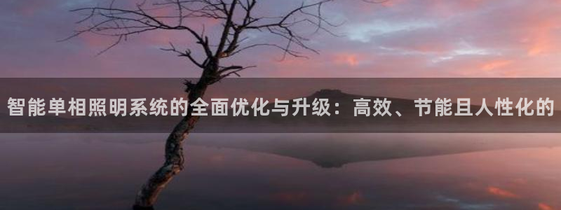 智能单相照明系统的全面优化与升级:高效、