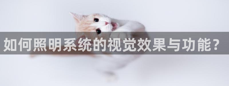 如何照明系统的视觉效果与功能?